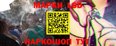 спиды Кингисепп