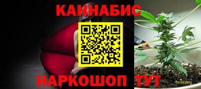 спиды Кингисепп