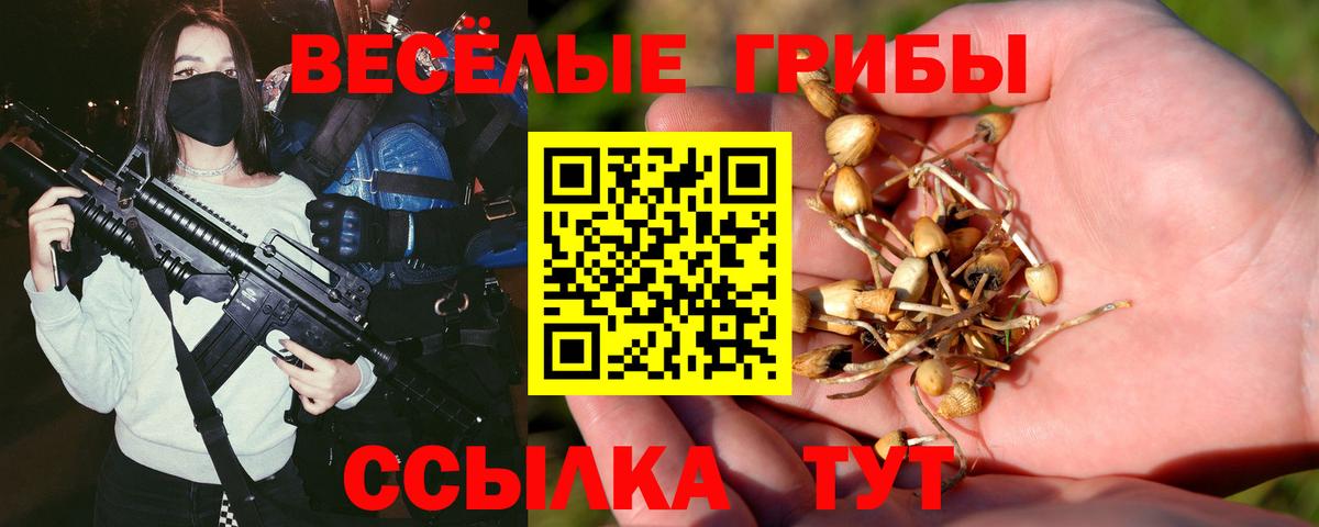 Красноармейск  Псилоцибиновые грибы Magic Shrooms  Вход с VPN 